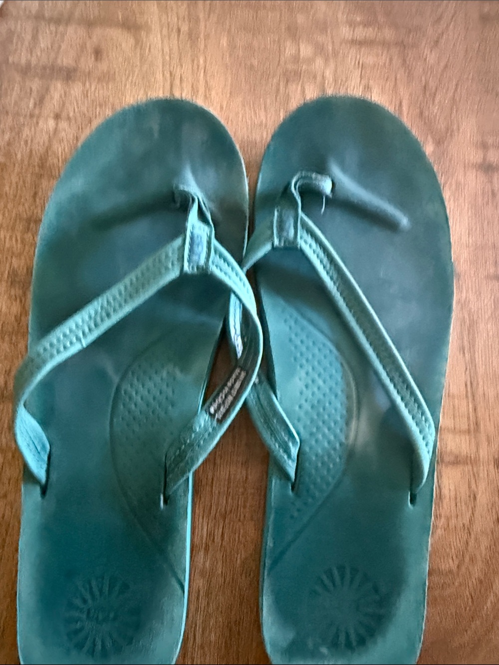 UGG Teal Flip Flop Sandals
